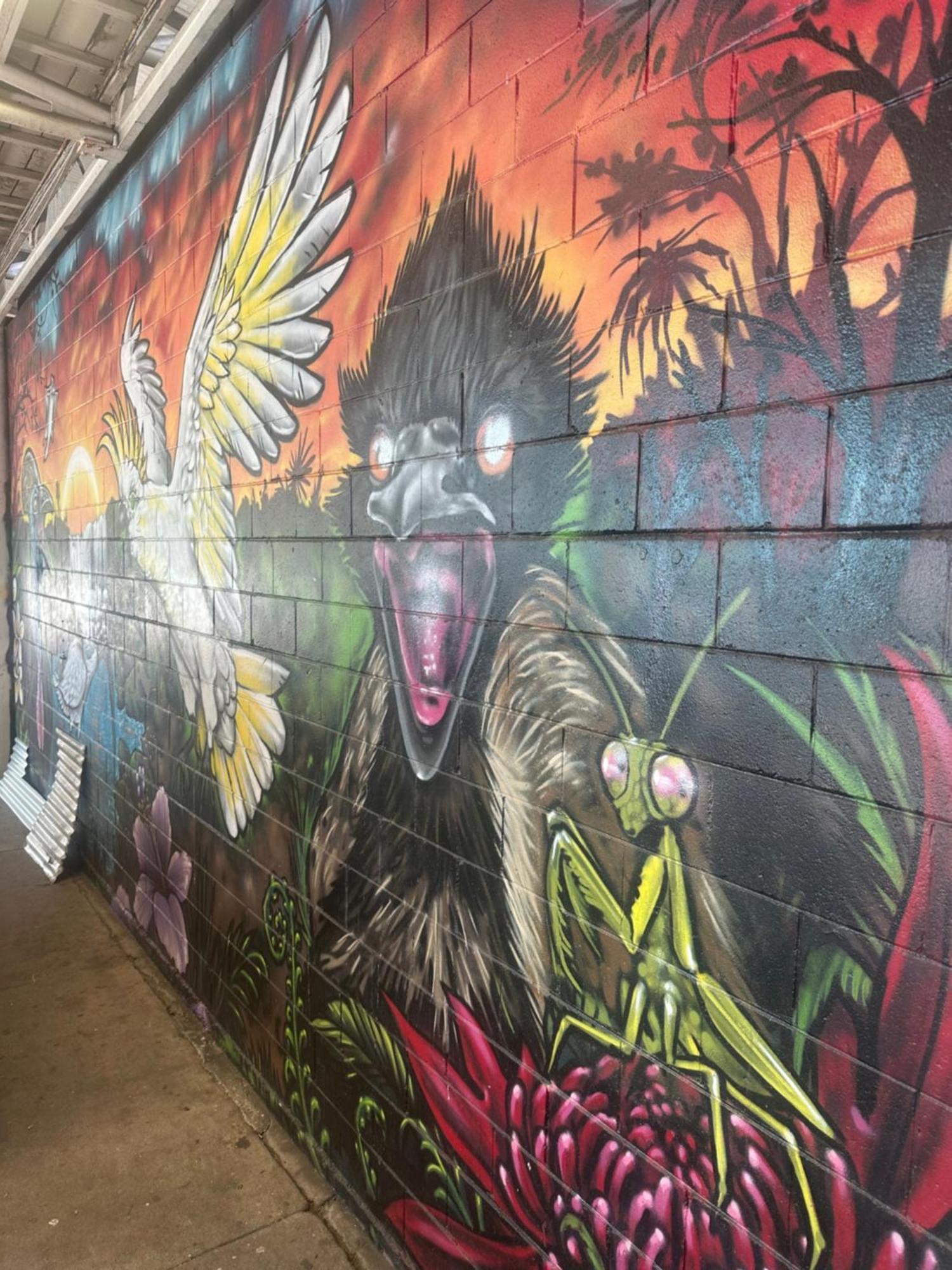 Habitat Backpackers Brisbane Exterior foto